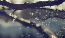 平安夜暧昧短信