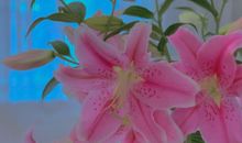 相思的句子唯美语录 思念唯美句子大全