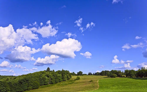 11.如果您注定不会给我我期望的答复，请远离安全的距离！