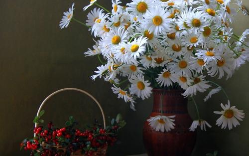 10.鸟儿在空中歌唱，仿佛在祝贺我。花儿在阳光下绽放，仿佛在祝福我。啊，我父亲带我去北京玩，我欣喜若狂，我跳着走路。