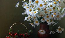 抖音上让人开心的句子 抖音是使人开心的句子