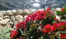 中秋节给领导发短信