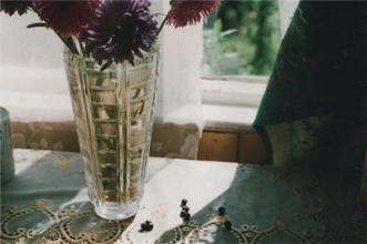 关于遗憾的个人签名