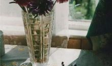 关于后悔的个性签名