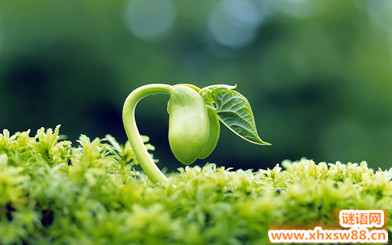 关于人生的名言