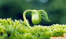 有关生命的名言名句