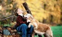 形容小朋友开心的句子 小朋友欢乐的句子