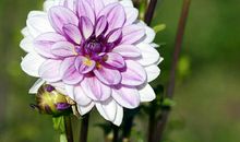 押韵的个性签名