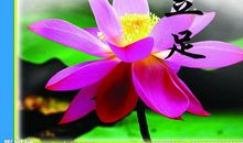 校园励志名言名句