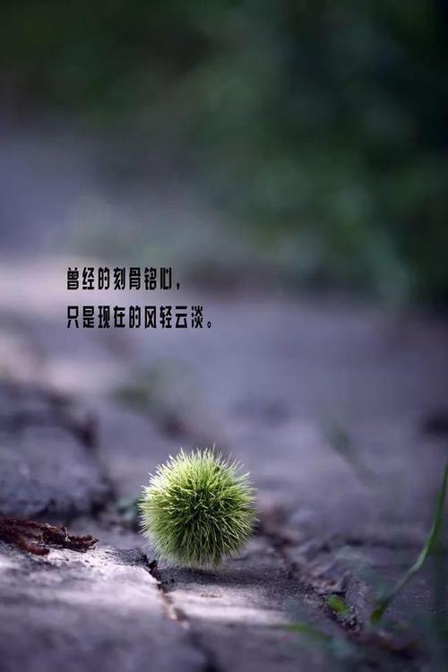 每天谈论我的心情