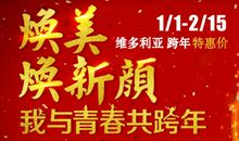 2017元旦拜年短信