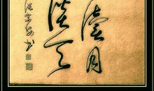 描写鸟名句