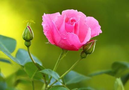 谈论春天的心情