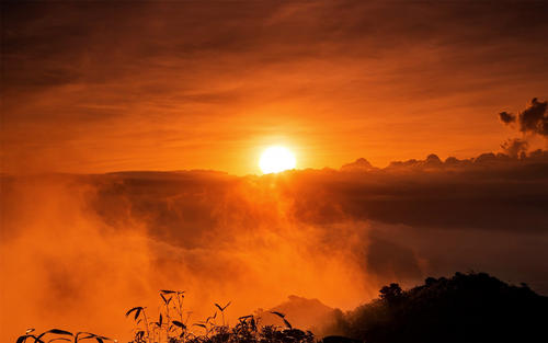 12.为什么他们需要在新闻网络之后组织事情？那是为了证明他们吹牛和吃水。