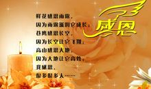 2017年感恩祝福短信