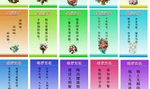 关于环保的名言