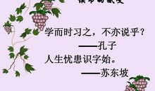 读书的乐趣的名言