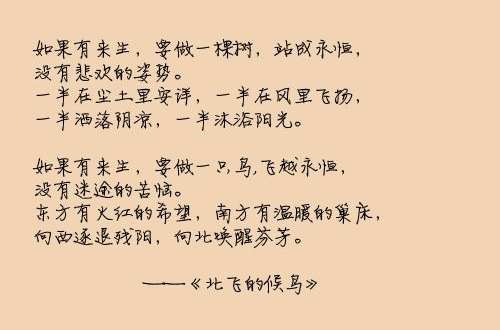 三毛名言