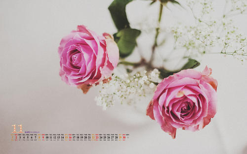 11.也许上帝希望我们在遇到合适的人之前遇到一些错误的人，以便当我们最终遇到该人时，我们将知道如何感恩。