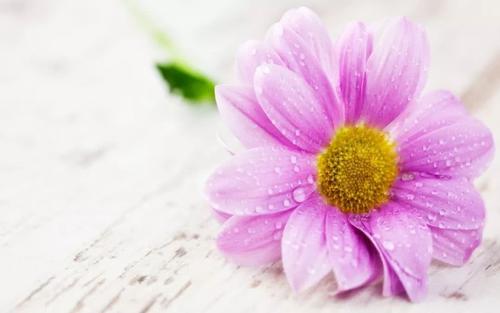 即使您难过，也不要皱眉，因为您不知道谁会爱上您的微笑。