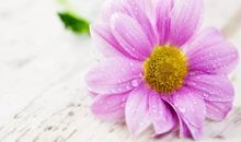 开心优美的英语句子 开心幸福英语短句