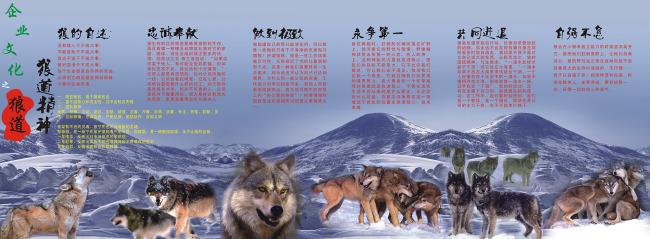 关于团队合作的名言