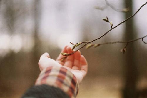 爱短信亲爱的谈话