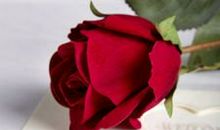 七夕情人节暧昧短信