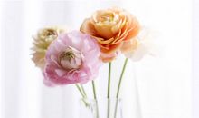 给爱人的温馨短信