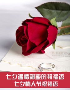 七夕情人节短信