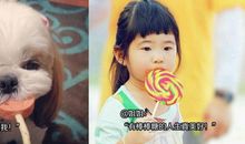 姐姐过生日短信