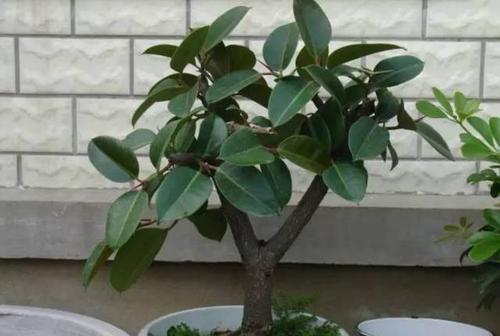 短信告知家庭安全