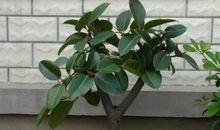 给家报平安的短信