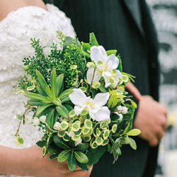婚礼祝姐姐的消息