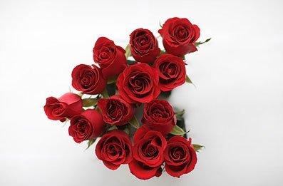 情人短信祝福大全