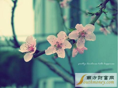 早上好给女友留言