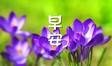 早安心情短语大全