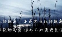 端午说说心情短语