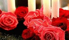 三八妇女节客户短信