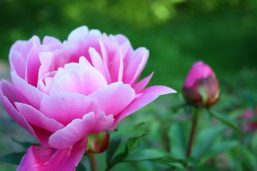 给爱人的早安讯息