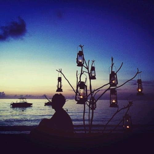 感恩节情人的留言