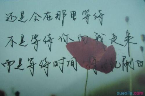 感人的爱情短语