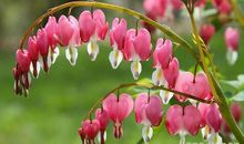 祝朋友幸福的句子