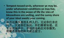 抒情有哲理的句子