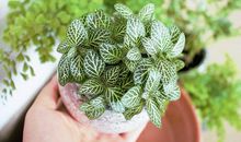 逗妹子开心的撩妹句子 怎么撩妹子聊天套路