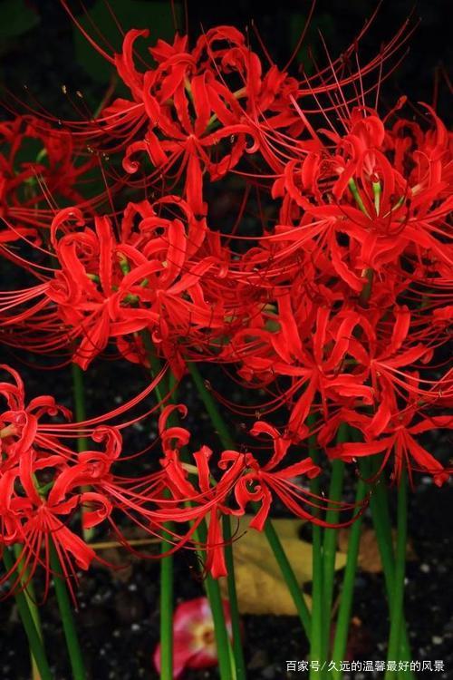 抒情和霸气的句子