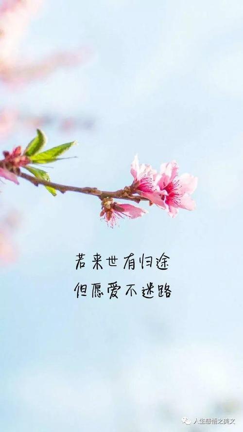 理解与交谈