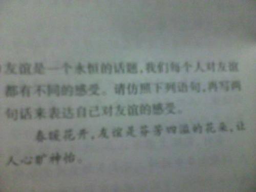 经典的友谊句子