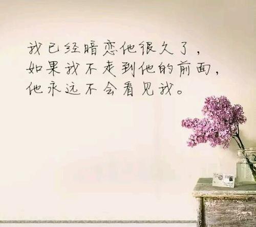 小说中的经典句子