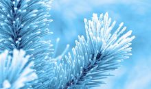 逗老婆开心的唯美句子说说心情说说 逗老婆开心的句子